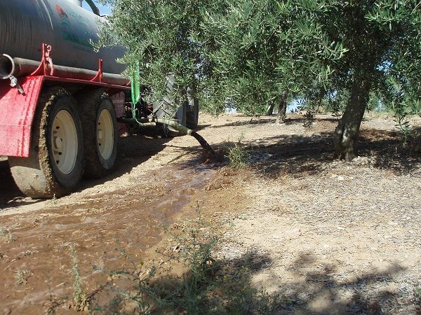 通过橄榄农场，对榨油厂的废液进行管理