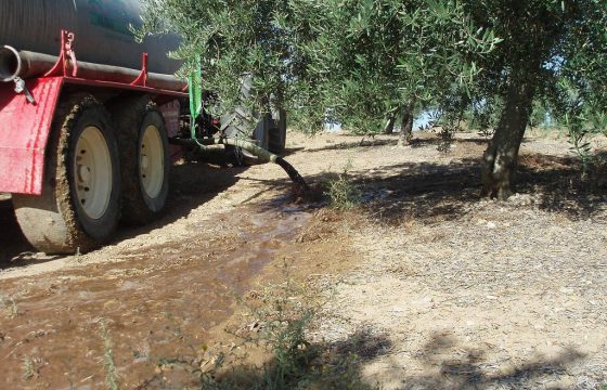 通过橄榄农场，对榨油厂的废液进行管理
